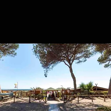 Apartament Clara 12 *